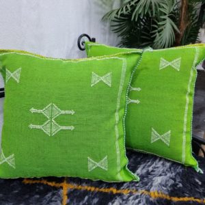 Green Pillow Cushions