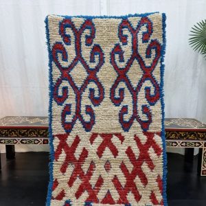 Blue And Red Rug