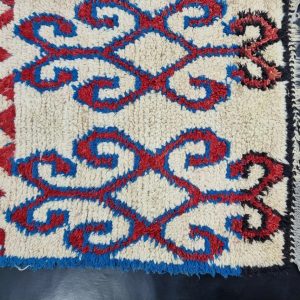 Blue And Red Rug