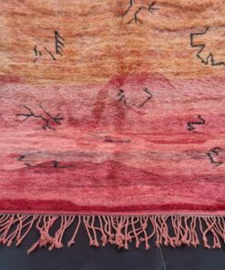 Red And Orange Shades Rug