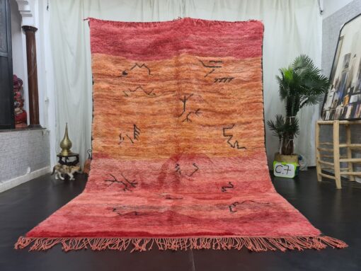 Red And Orange Shades Rug