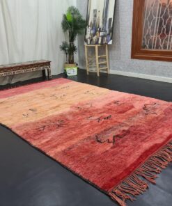 Red And Orange Shades Rug