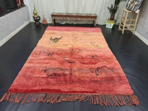 Red And Orange Shades Rug