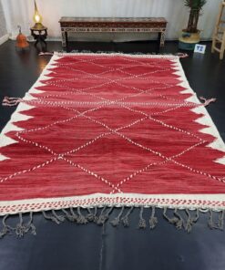 Red Moroccan 6x10 Rug