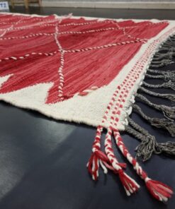 Red Moroccan 6x10 Rug