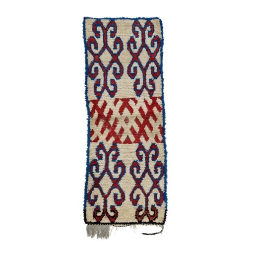 Blue And Red Rug