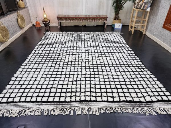 Black And White 7x9 Rug