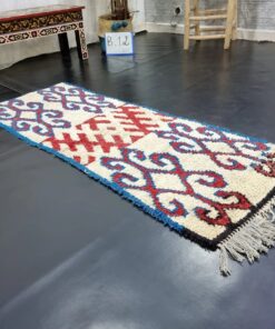 Blue And Red Rug