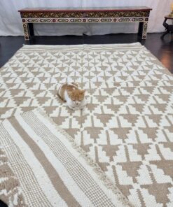 Beige & White Rug