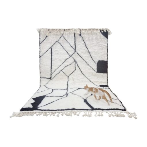 White and Black Rug