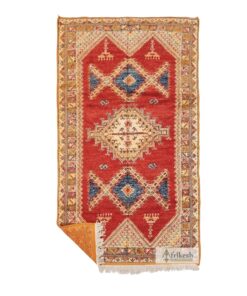 DARAN - Taznakht Rug 4x8 - Unique Gemoetric Sahara Rug