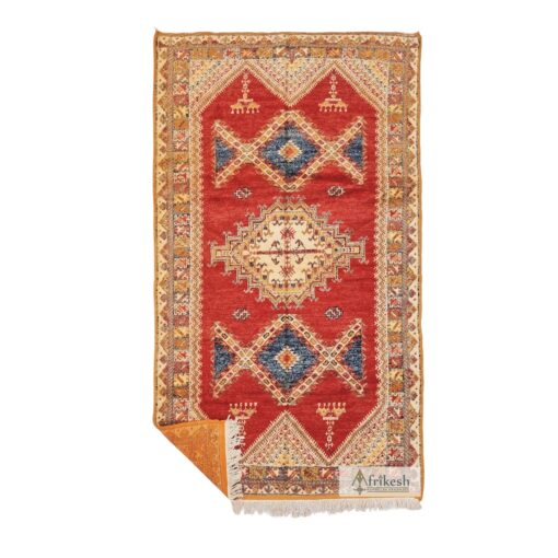 DARAN - Taznakht Rug 4x8 - Unique Gemoetric Sahara Rug