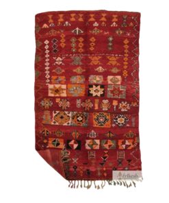 RUKHE - Red Rug - Bohemian Vintage Abstract Carpet 6x10