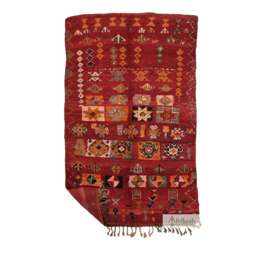 RUKHE - Red Rug - Bohemian Vintage Abstract Carpet 6x10