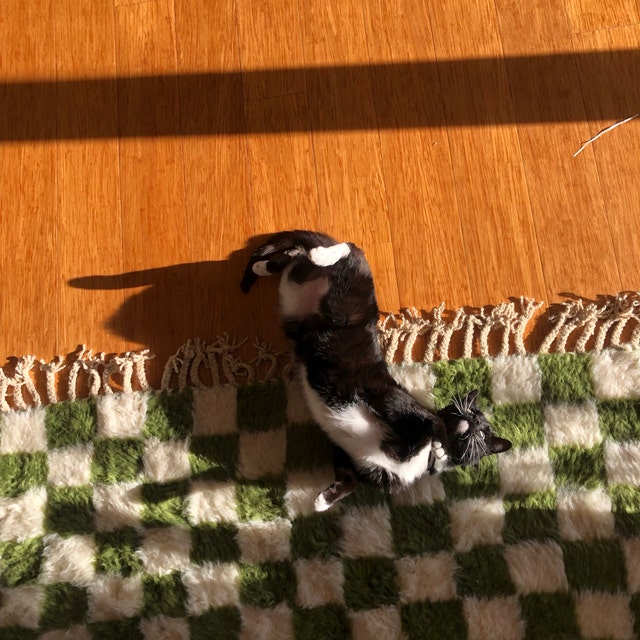 Afrikesh Pet Friendly Moroccan Rug 10