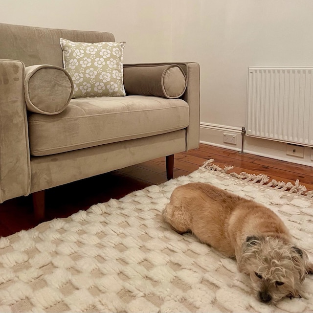 Afrikesh Pet Friendly Moroccan Rug 13