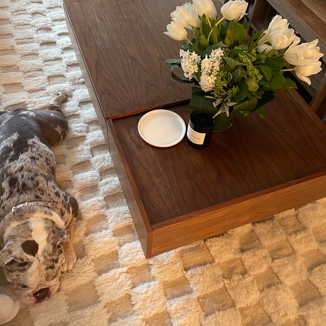 Afrikesh Pet Friendly Moroccan Rug 9