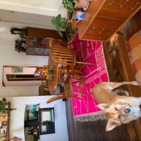 NUMRA – Beni Ourain Abstract Rug – Orange Wool Custom Rug