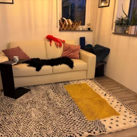 AMNAY-Moroccan Maroon And White Rug-Custom Beni Ourain Dotted Carpet