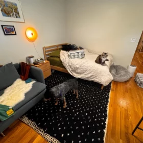 AMNAY-Moroccan Maroon And White Rug-Custom Beni Ourain Dotted Carpet