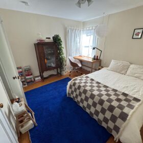 BENAZIR – Solid Green Carpet – Beni Ourain Solid Custom Rugs