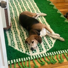 Idir- Beni Ourain Rug 6x9 – White and Pink Striped Carpet | Moroccan Handmade Wool Rug