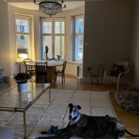 Aylin – Beni Ourain Tufted Rug – Custom Yellow And Green Rug – Moroccan Handmade Carpet